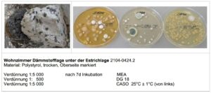 Mehr über den Artikel erfahren Sachverständigenbüro Charles Knepper: Ihr Experte für Schimmelgutachten und Bauphysik